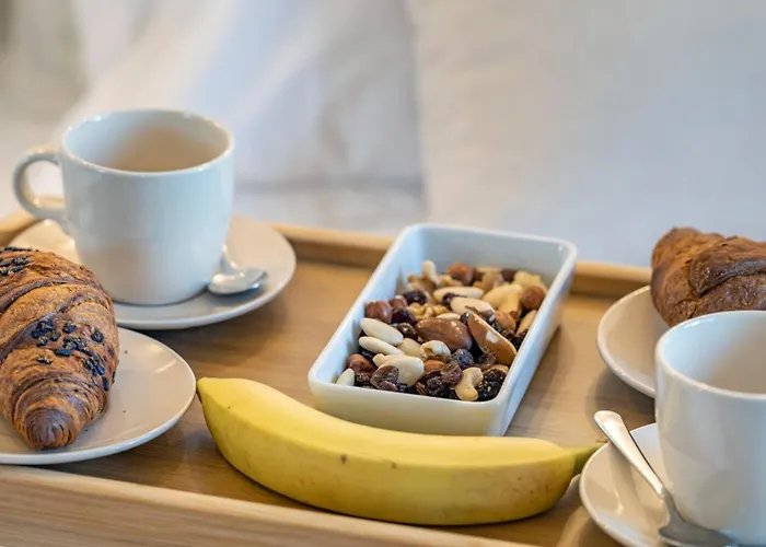 House Hedonica By Guide *